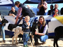 2019_ausstellung polling_494